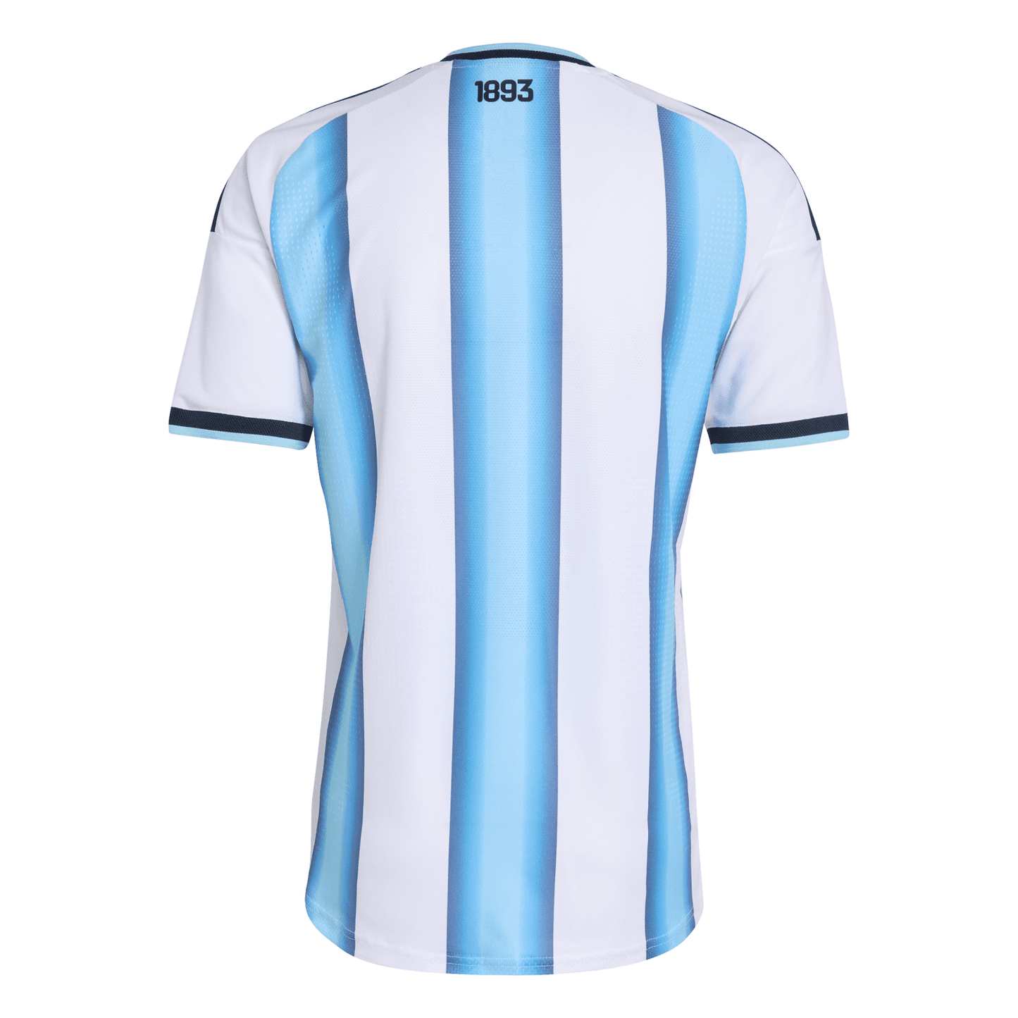Argentine 2026 Domicile A